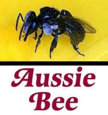 Aussiebee